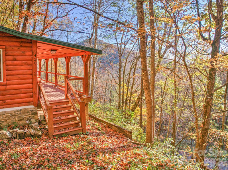 430 Long Branch Rd, Clyde, NC 28721