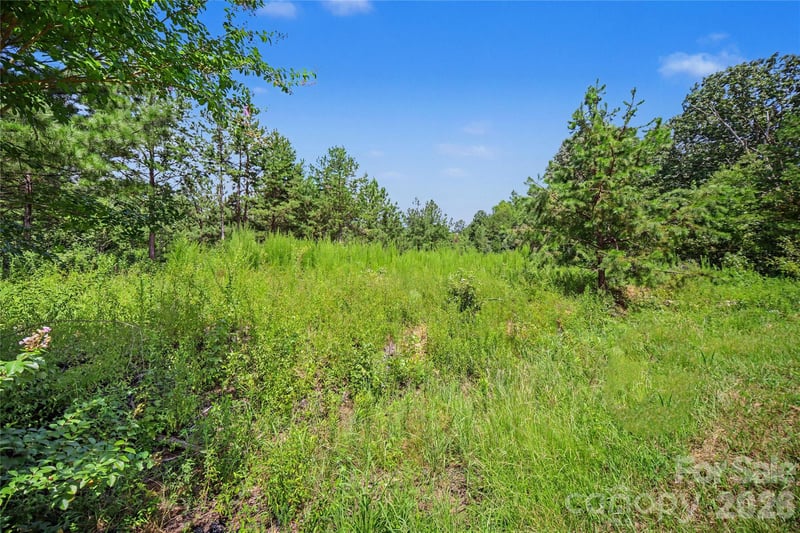 2410 Simfield Church Rd, Matthews, NC 28105