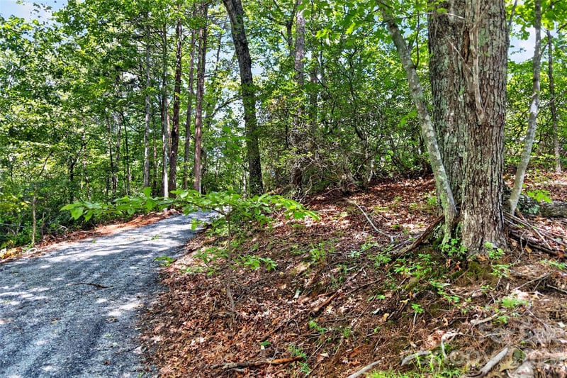 000 Buffalo Shoals Rd, Lake Lure, NC 28746