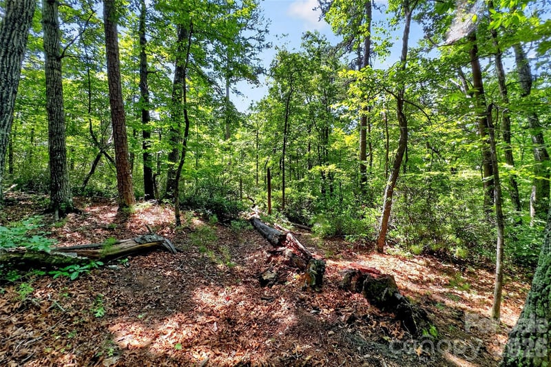 000 Buffalo Shoals Rd, Lake Lure, NC 28746