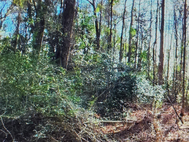 00 S Rollins Dr, Kershaw, SC 29067
