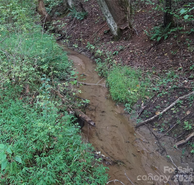 1139 Mckay Rd, Newton, NC 28658