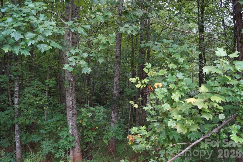 1139 Mckay Rd, Newton, NC 28658