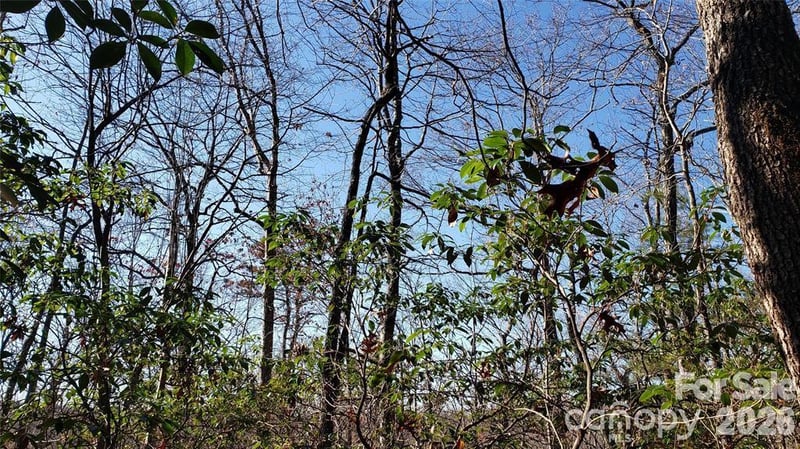 TBD Galax Ln #G-11, Brevard, NC 28712