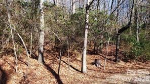 TBD Galax Ln #G-11, Brevard, NC 28712