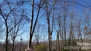 TBD Galax Ln #G-11, Brevard, NC 28712