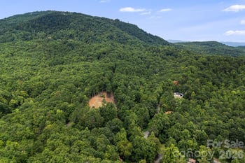 163 Camp Elliott Rd, Black Mountain, NC 28711