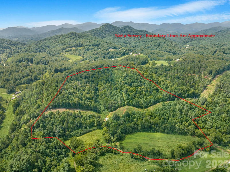 99999 Meadows Town Rd, Leicester, NC 28748