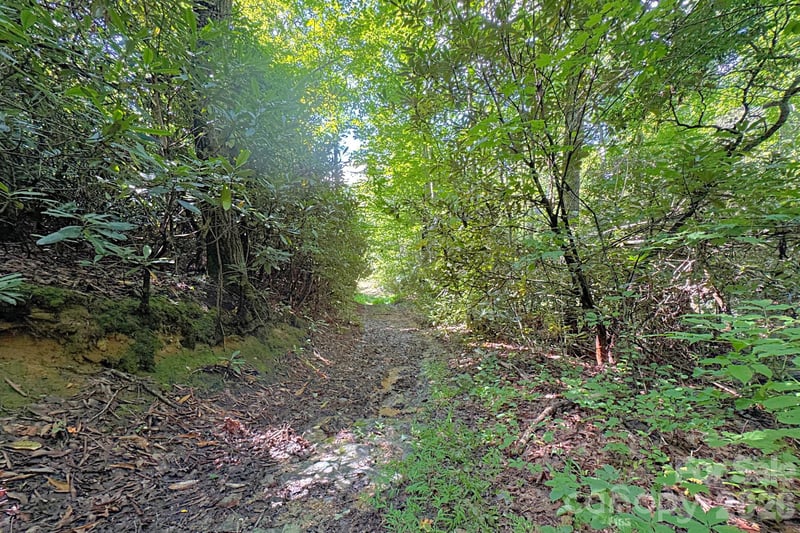 999 Fowler Ln, Fletcher, NC 28732
