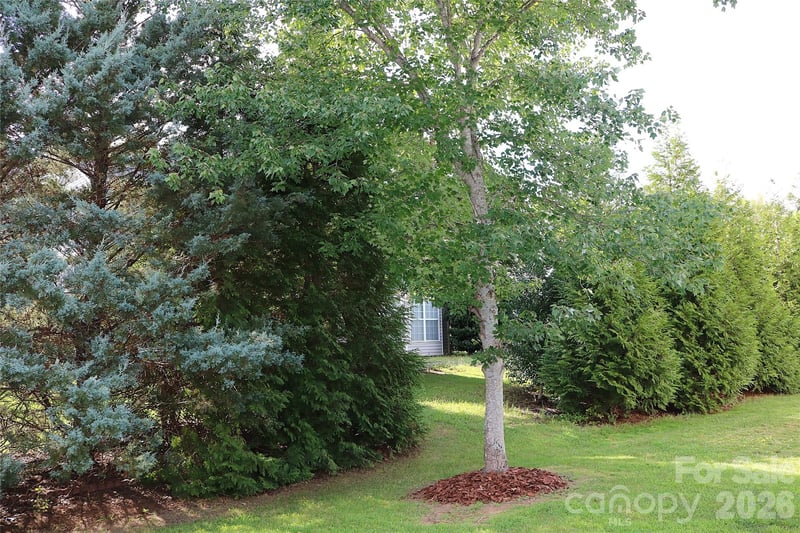 4409 Squirrel Trail Ln, Charlotte, NC 28269