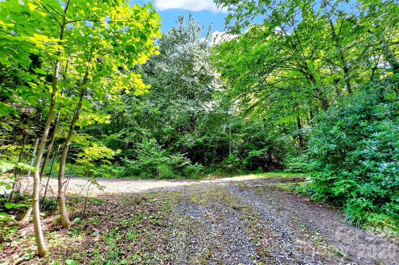111 Walkertown Rd, Black Mountain, NC 28711