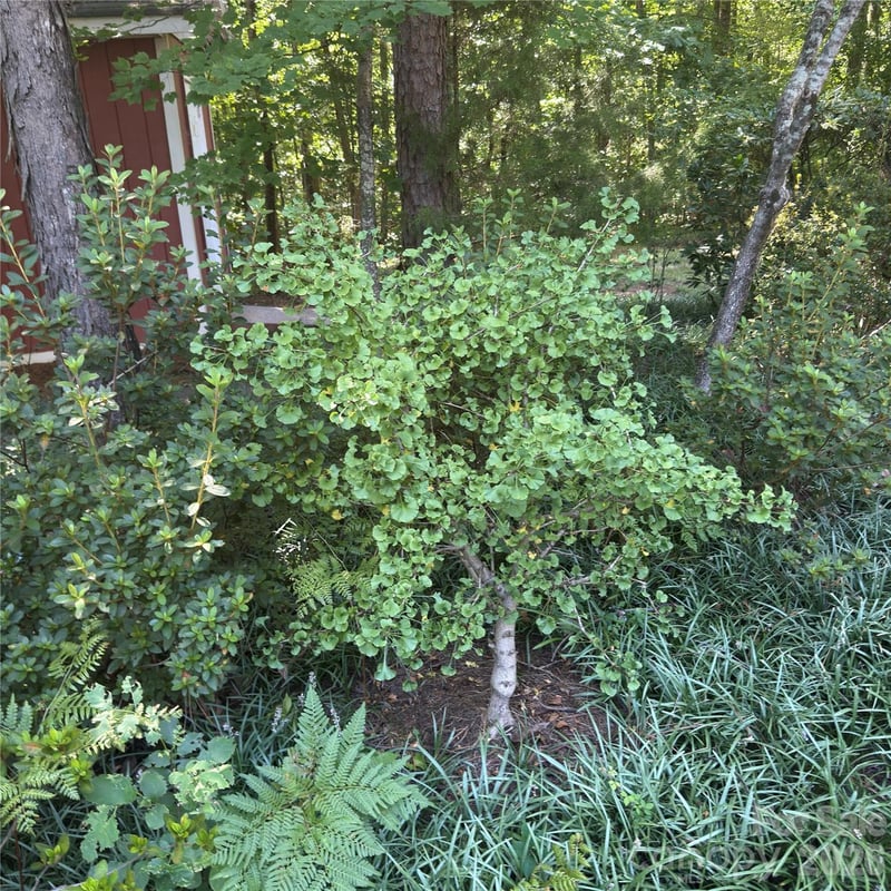 8805 Crosstimbers Dr, Charlotte, NC 28215