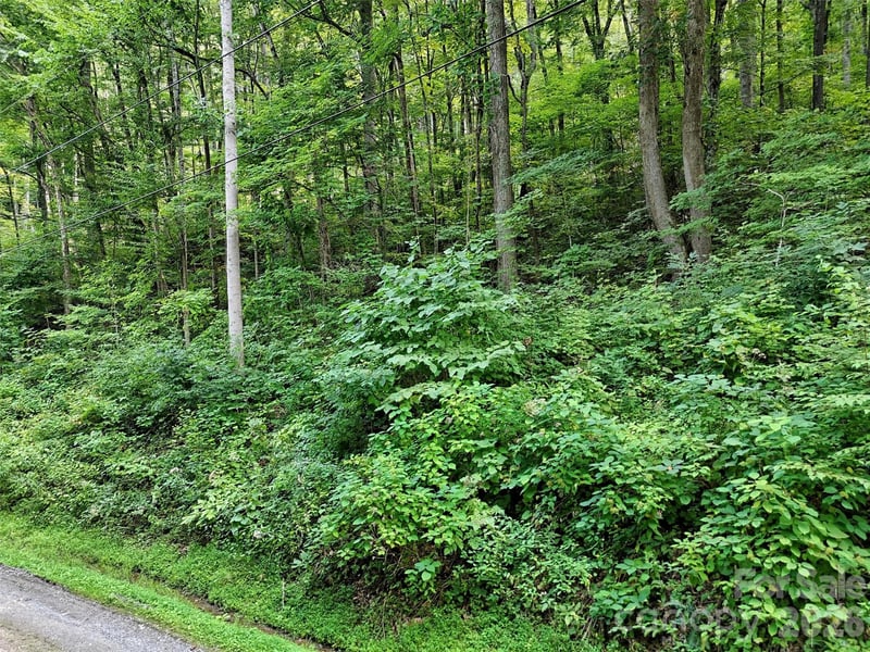 191 Merrie Way #62, Waynesville, NC 28786