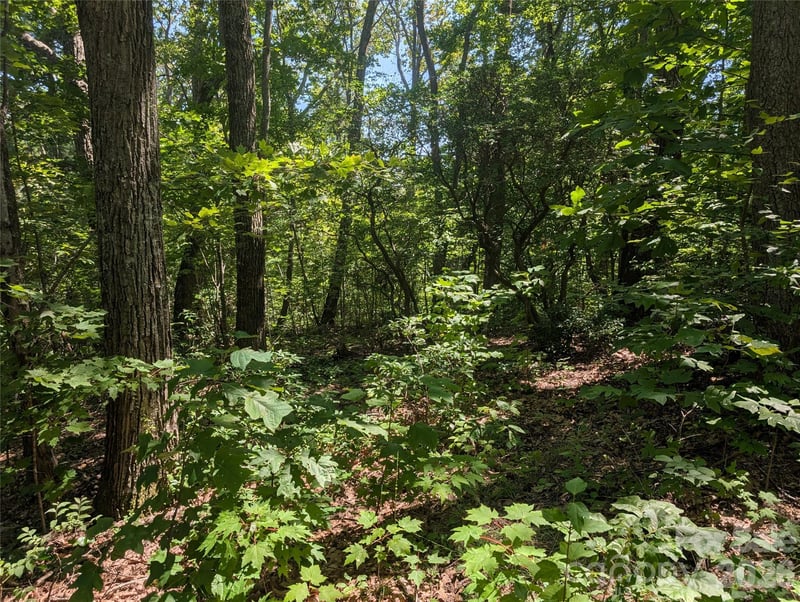 1824 Old Mill Rd, Hendersonville, NC 28792