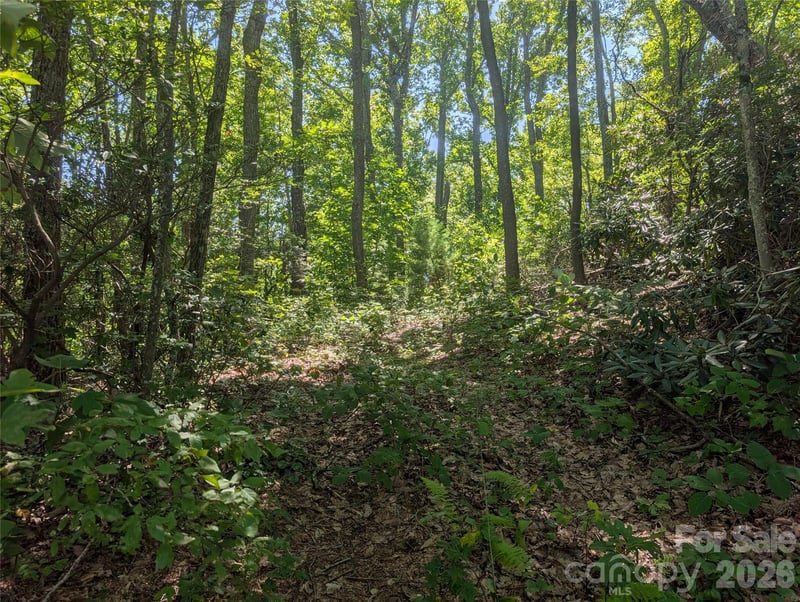 1824 Old Mill Rd, Hendersonville, NC 28792