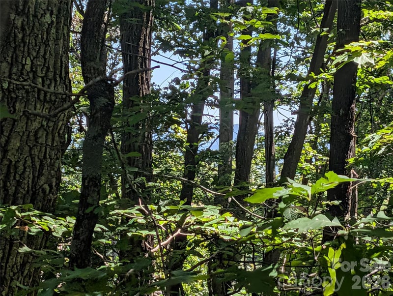 1824 Old Mill Rd, Hendersonville, NC 28792