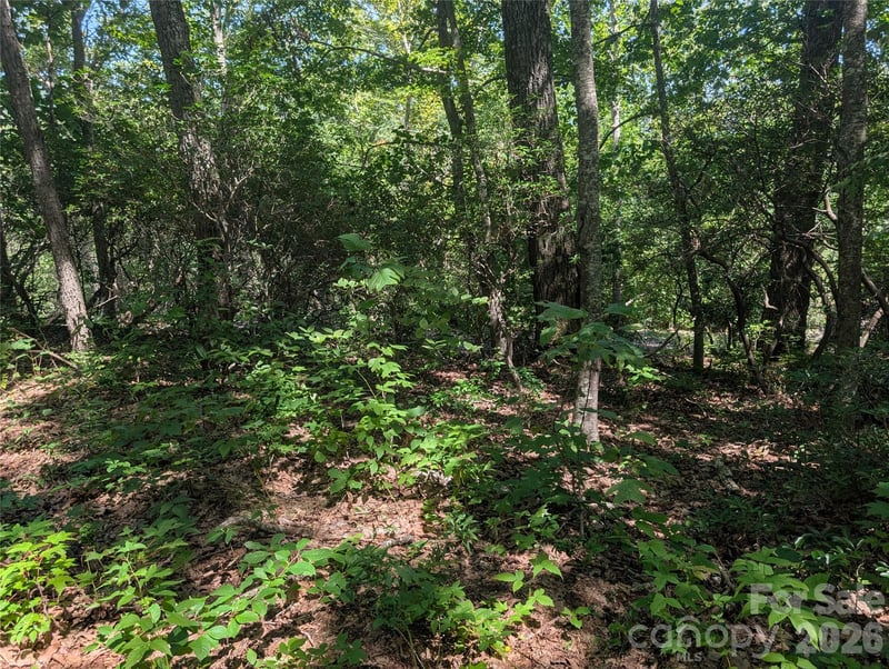 1824 Old Mill Rd, Hendersonville, NC 28792