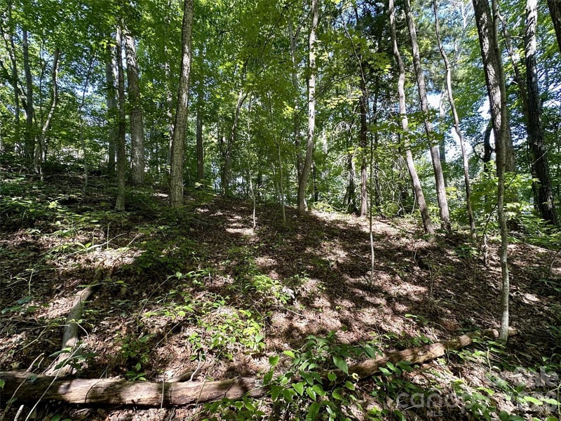 00 Liberty Rd #21, Waynesville, NC 28785
