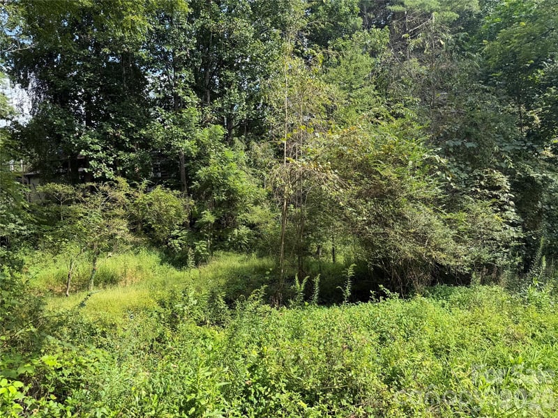 Off Meadowbrook Cir, Brevard, NC 28712