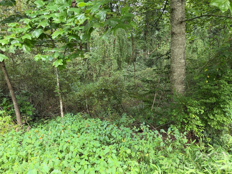 Off Meadowbrook Cir, Brevard, NC 28712