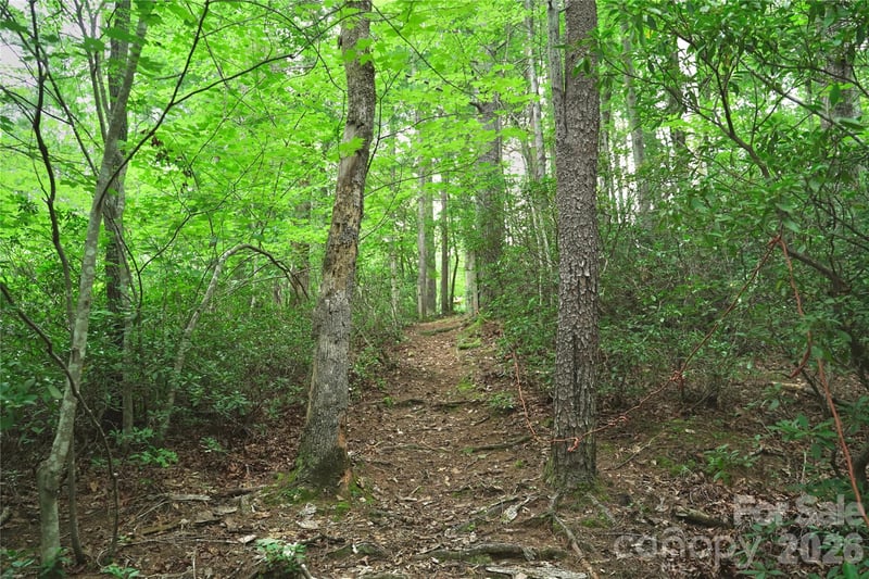 3 South Pointe Rd, Mill Spring, NC 28756