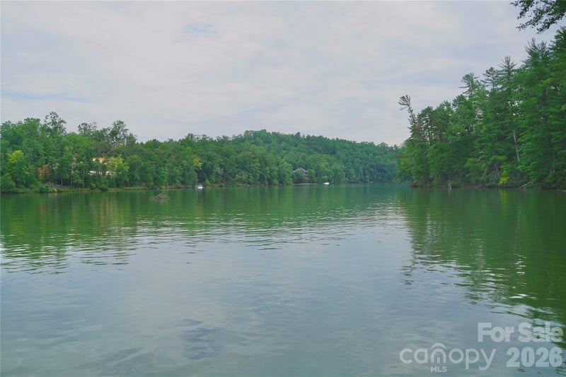 3 South Pointe Rd, Mill Spring, NC 28756