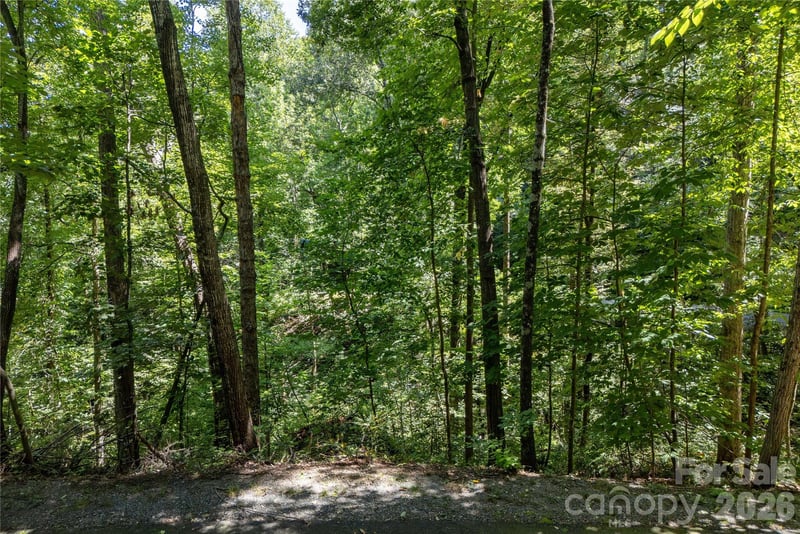 0 Weaver Ln #185, Lake Lure, NC 28746