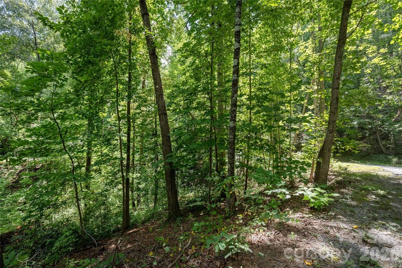 0 Weaver Ln #185, Lake Lure, NC 28746