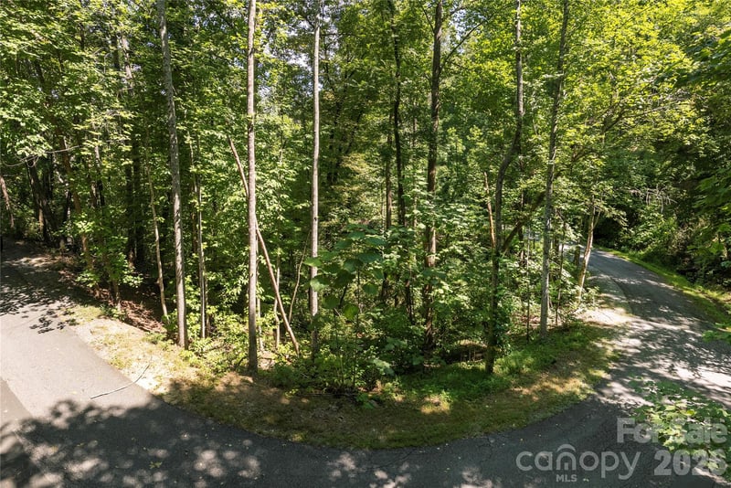 0 Weaver Ln #185, Lake Lure, NC 28746