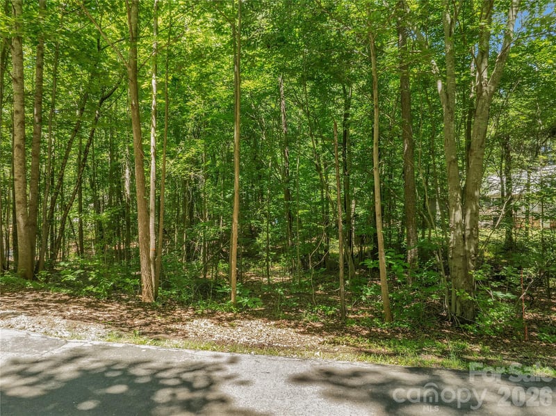 0 Nablus Dr #5, Waxhaw, NC 28173