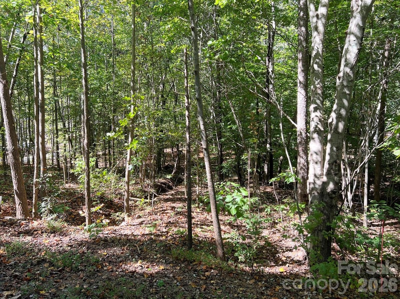0 Nablus Dr #5, Waxhaw, NC 28173