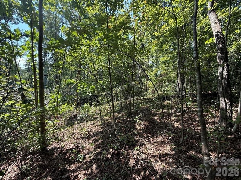 256 Burge Mountain Rd, Hendersonville, NC 28792