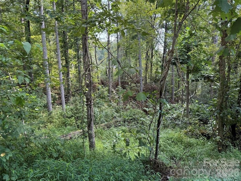256 Burge Mountain Rd, Hendersonville, NC 28792