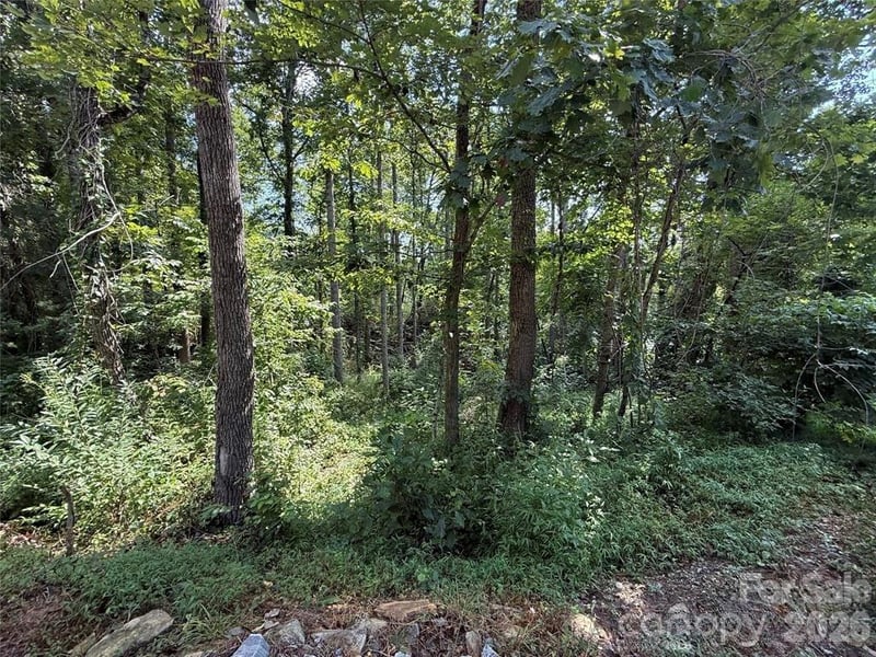256 Burge Mountain Rd, Hendersonville, NC 28792