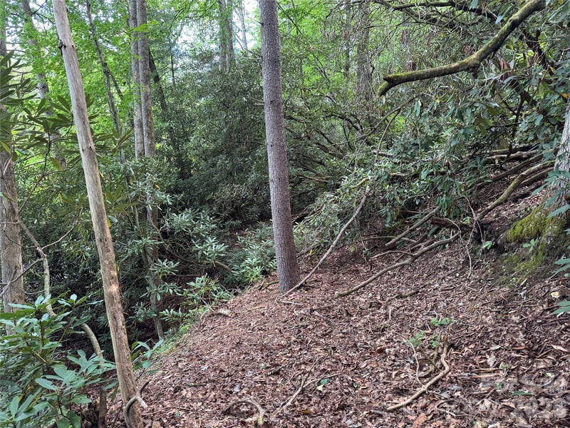 000 Wilson Rd, Pisgah Forest, NC 28768