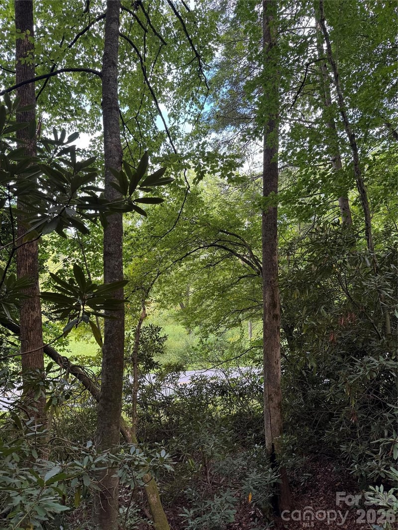 000 Wilson Rd, Pisgah Forest, NC 28768