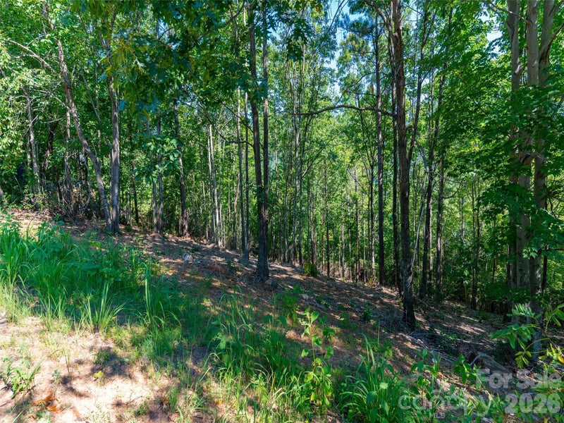2026 Deep Gap Farm Rd E, Mill Spring, NC 28756