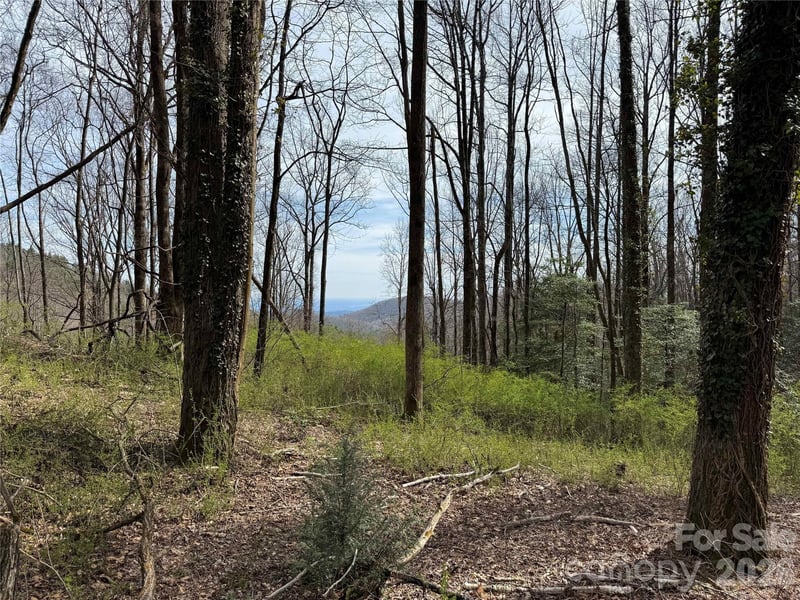L8 Black Bear Ct, Sapphire, NC 28774