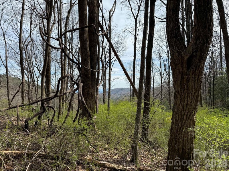 L8 Black Bear Ct, Sapphire, NC 28774