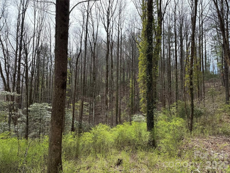 L8 Black Bear Ct, Sapphire, NC 28774