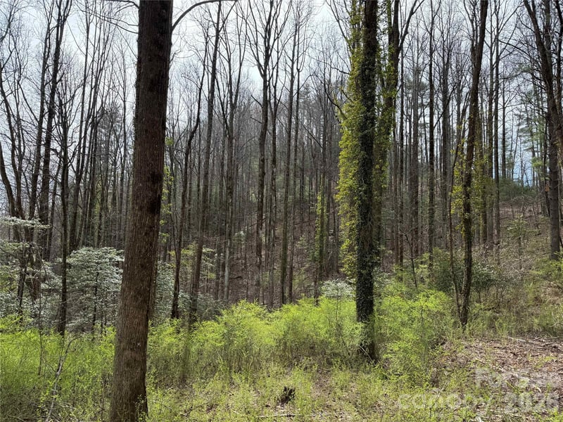 L8 Black Bear Ct, Sapphire, NC 28774