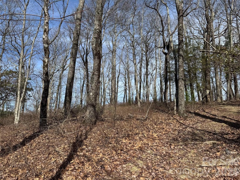 L4 Windy Gap Ln, Sapphire, NC 28774