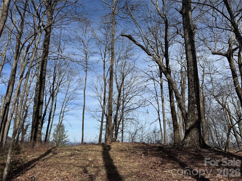 L4 Windy Gap Ln, Sapphire, NC 28774