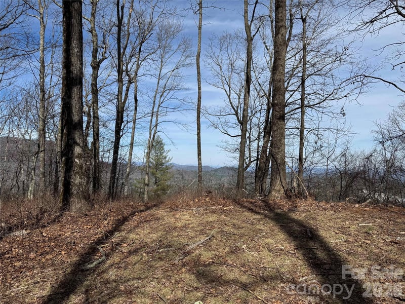 L4 Windy Gap Ln, Sapphire, NC 28774