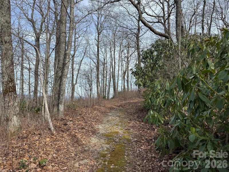 L3 Windy Gap Ln, Sapphire, NC 28774