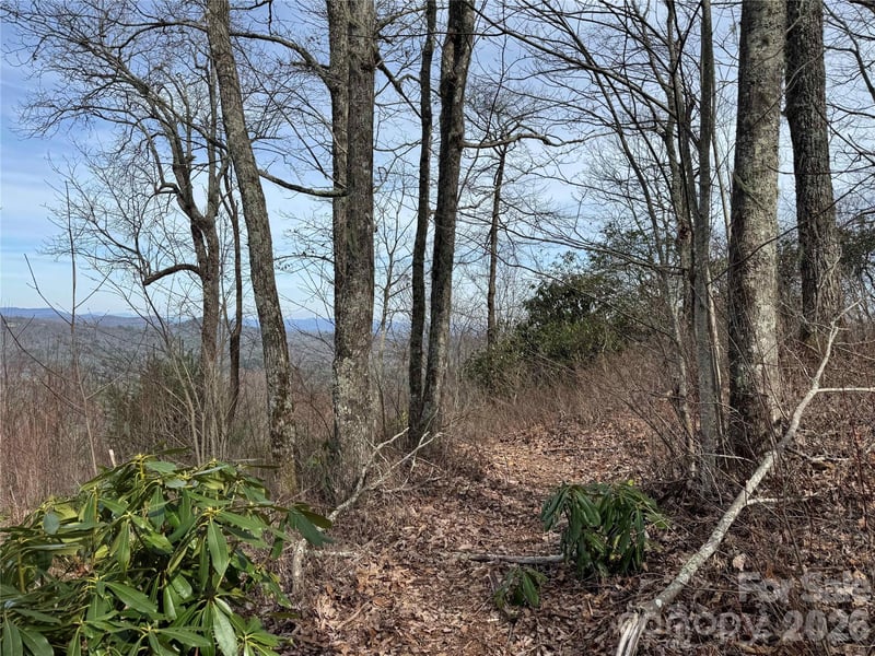 L3 Windy Gap Ln, Sapphire, NC 28774