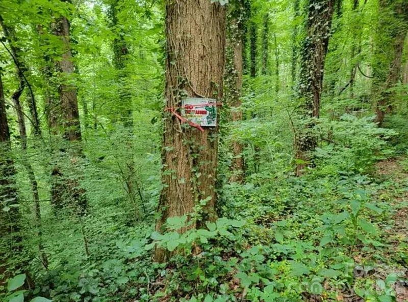 0 Rock Broad River Rd #21, Hendersonville, NC 28792
