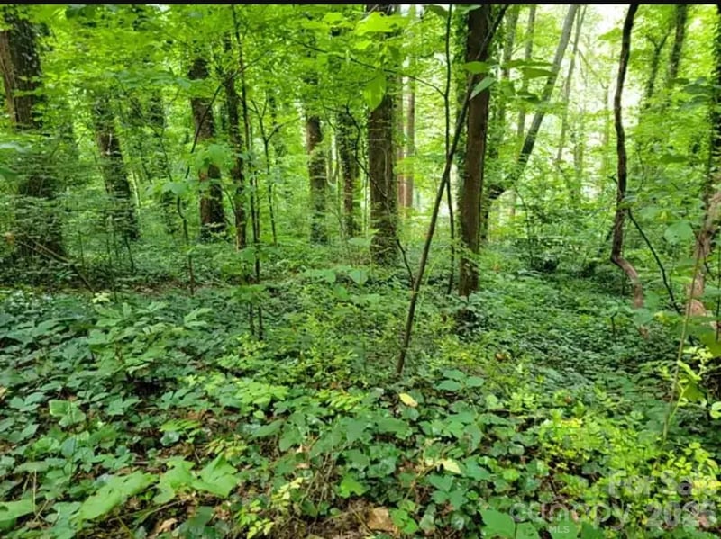 0 Rock Broad River Rd #21, Hendersonville, NC 28792