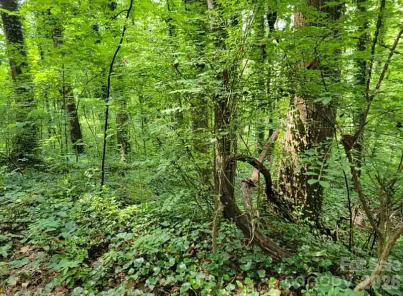 0 Rock Broad River Rd #21, Hendersonville, NC 28792