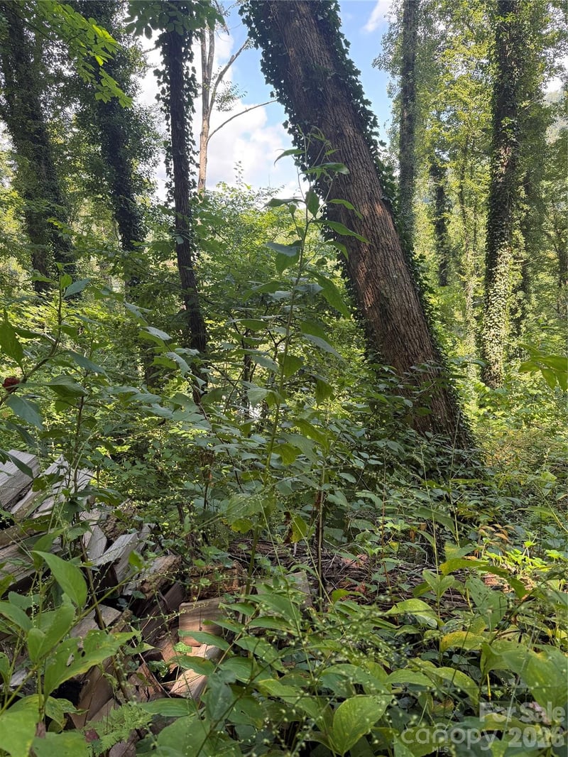 0 Rock Broad River Rd #21, Hendersonville, NC 28792